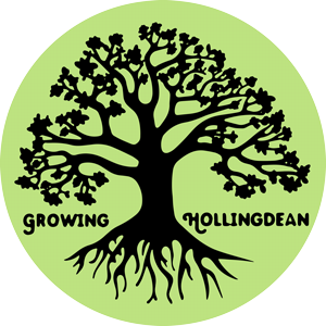 Growing Hollingdean Logo